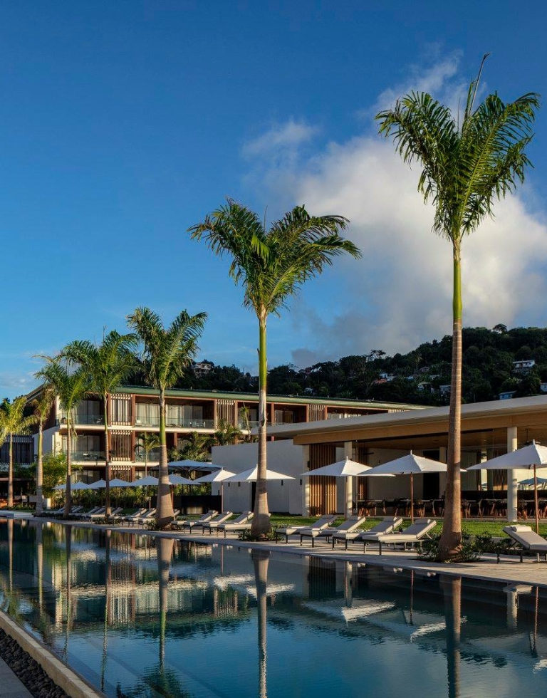 Différents palmier autour d'une piscine pour l'hotel Silversands aux iles Grenades avec un grand ciel bleu avec une terrasse en bois exotique en Ipé et en teak atour.