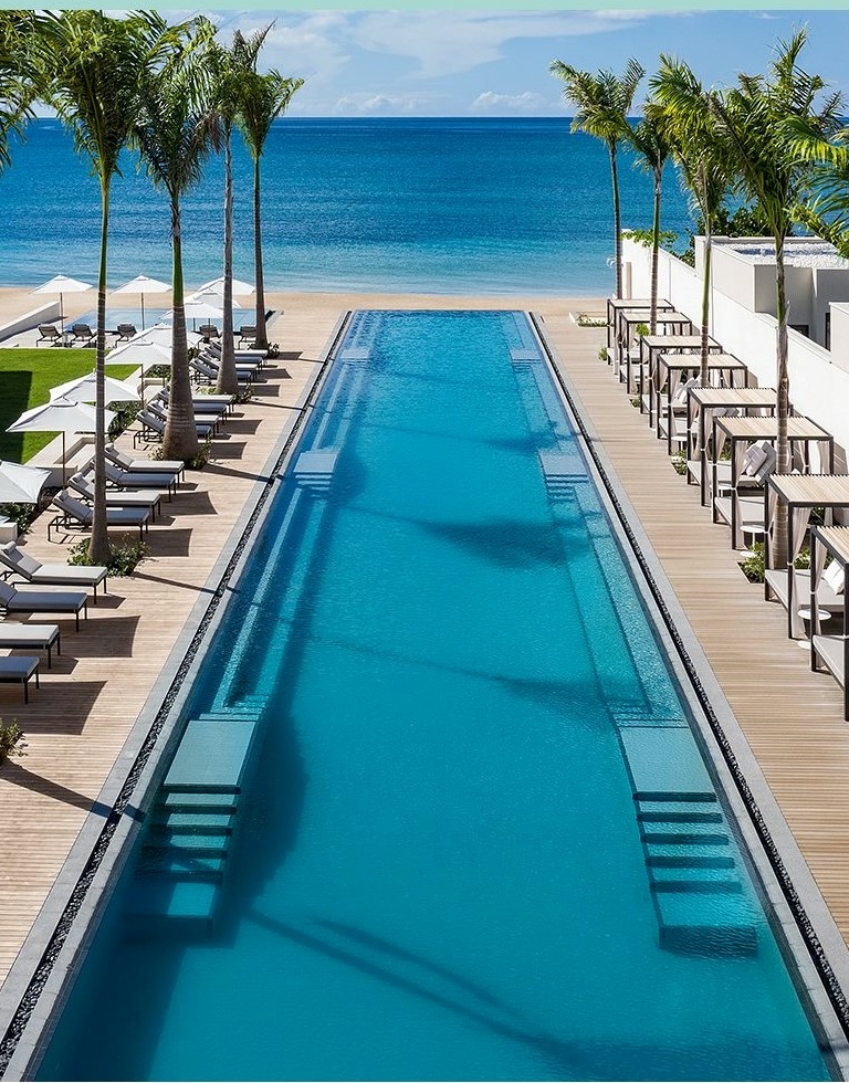 Longue piscine donnant sur mer entourée d'une terrasse Softline Ipé et Teak avec palmier et chaises longues