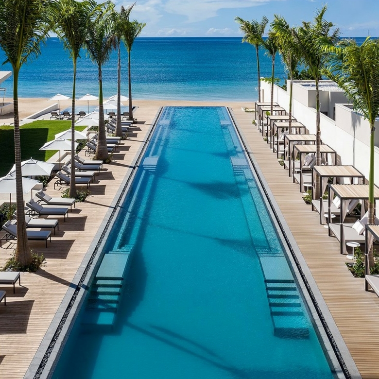 Longue piscine donnant sur mer entourée d'une terrasse Softline Ipé et Teak avec palmier et chaises longues au Silversands Hotel Îles Grenades